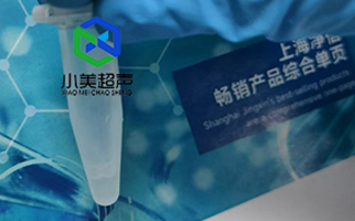 腫瘤細胞破碎用一體式超聲波細胞破碎儀實驗破碎提取蛋白效果如何？